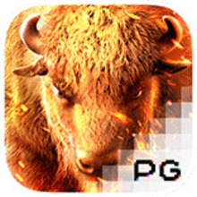 Jogo Buffalo Win - Slot PG Soft